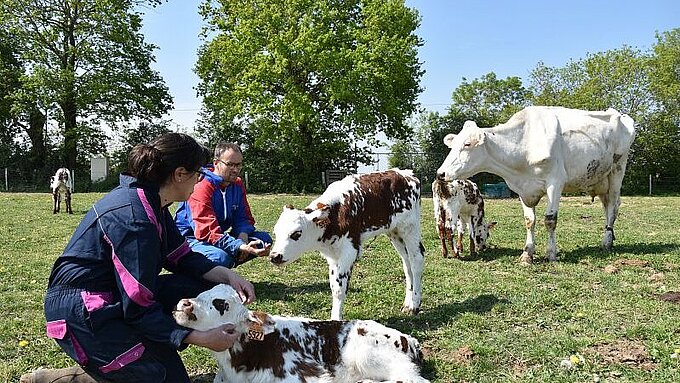 Accompagner l'agriculture Eleveurs