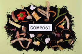 Exposition "Le compostage, suivez le guide" | Loireauxence