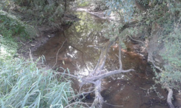 Ruisseau du Montagne avant travaux Ruisseau du Montagné avant travaux