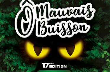 Festival de musique Ô Mauvais Buisson - VALLONS-DE-L'ERDRE