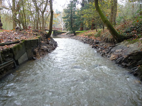 Ruisseau de Grée au lieu-dit « Les Rigaudières » à Mésanger
