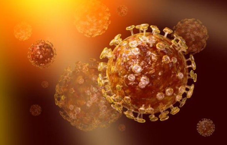 Coronavirus pour mieux comprendre