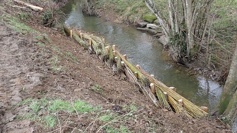 Aménagement des rives du Donneau à Pannecé Aménagement des rives du Donneau à Pannecé