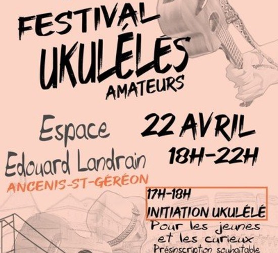 Youkool'Game Festival 2023 - Ancenis-saint-Géréon