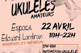Youkool'Game Festival 2023 - Ancenis-saint-Géréon