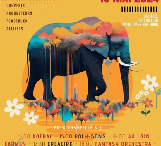 affiche Festival Éléphant en transe 2024 | Trans-sur-Erdre