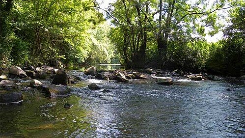 L'Erdre L'Erdre
