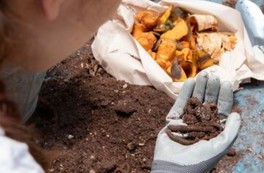 Tous au compost : Les secrets du lombricompostage | En ligne