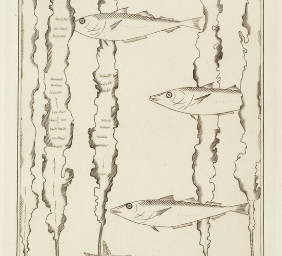  LABOUREUR Jean-Emile Les trois merlans, s.d. Estampe, Epreuve, Gravure au burin, tirage sur papier 27,9 x 22,5 cm 