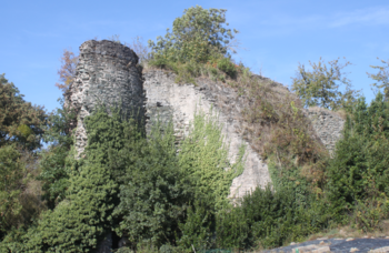 Les vestiges du four à chaux des Brûlis à Ancenis-Saint-Géréon .