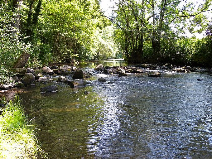 L'Erdre L'Erdre
