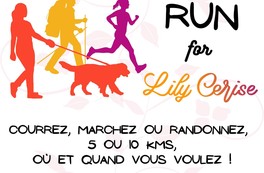 Run for Lily Cerise
