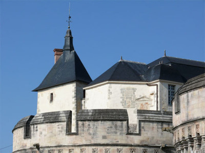 Les toits du château d'Ancenis