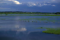 Marais de Grée Marais de Grée