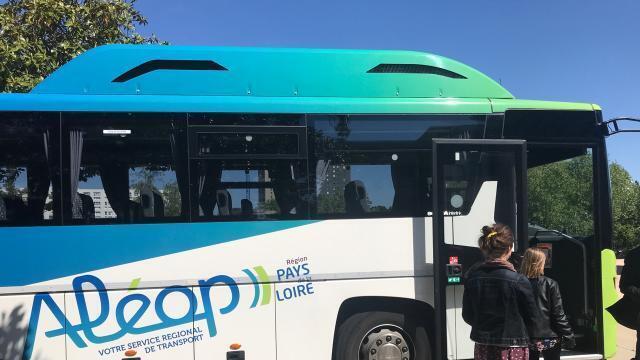 Bus Aleop Bus de ligne régulière Aleop