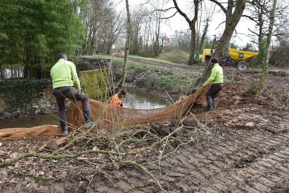 Recouvrement de la terre par le géotextile sur les berges du Donneau à Pannecé