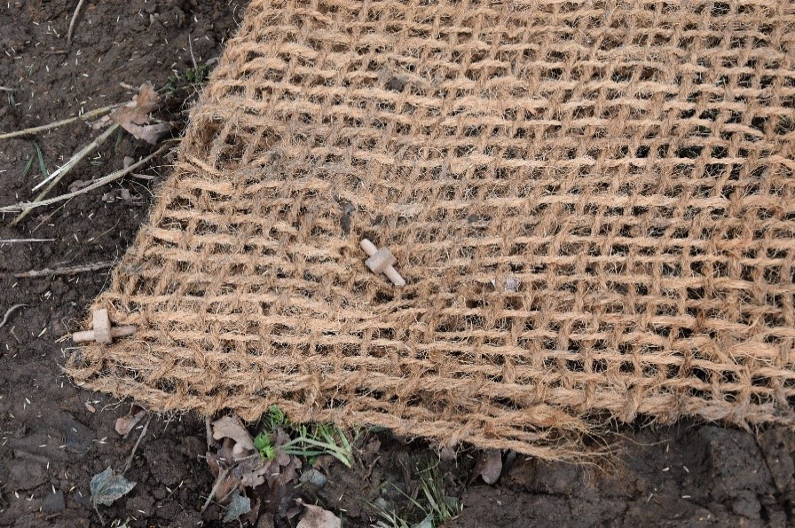 Le géotextile coco maintenu par des agrafes en bois.