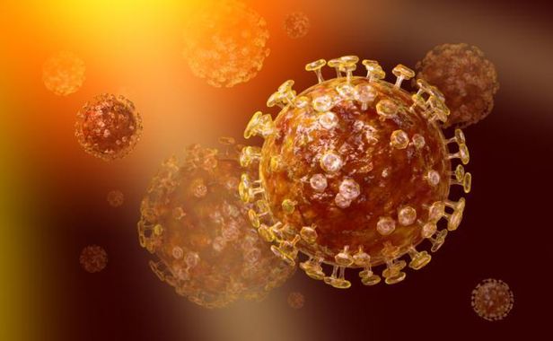 Coronavirus pour mieux comprendre